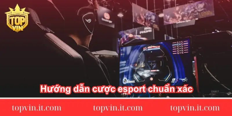 huong-dan-cuoc-esport-chuan-xac-nhu-cao-thu