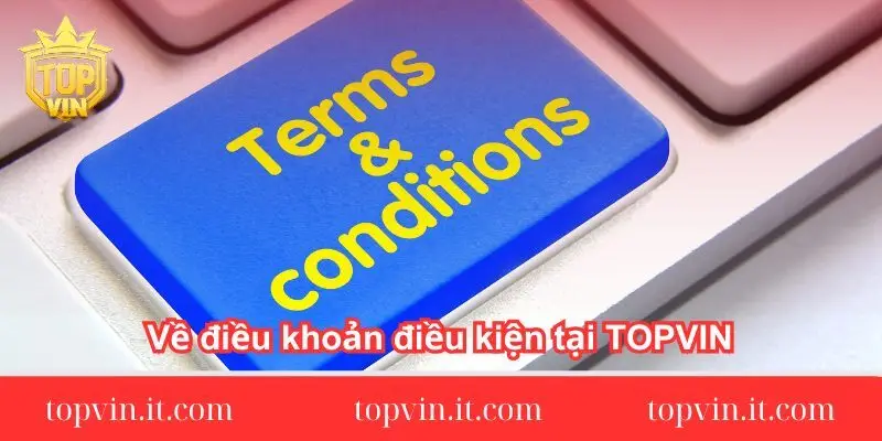Về điều khoản điều kiện tại TOPVIN